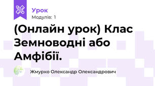 (Онлайн урок) Клас Земноводні або Амфібії.