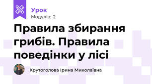 Правила збирання грибів. Правила поведінки у лісі