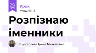 Розпізнаю іменники
