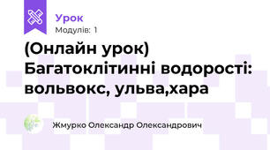 (Онлайн урок) Багатоклітинні водорості: вольвокс, ульва,хара