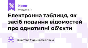 Електронна таблиця, як засіб подання відомостей про однотипні об'єкти