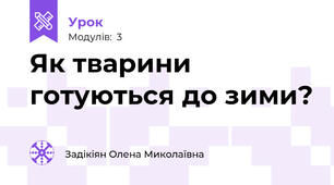 Як тварини готуються до зими?