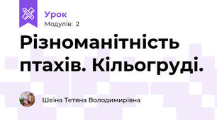 Різноманітність птахів. Кільогруді.