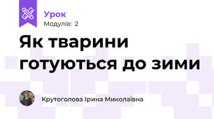 Як тварини готуються до зими