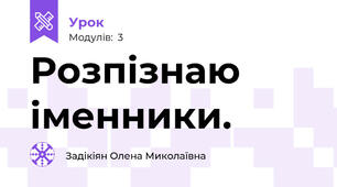 Розпізнаю іменники.
