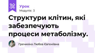 Структури клітин, які забезпечують процеси метаболізму.