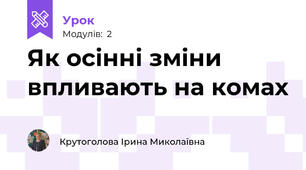 Як осінні зміни впливають на комах