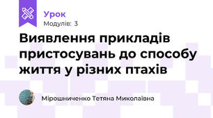 Виявлення прикладів пристосувань до способу життя у різних птахів 