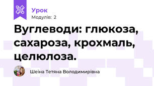 Вуглеводи: глюкоза, сахароза, крохмаль, целюлоза.