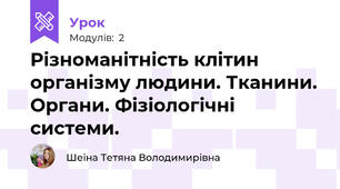 Різноманітність клітин організму людини. Тканини. Органи. Фізіологічні системи. 