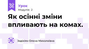 Як осінні зміни впливають на комах.