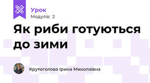 Як риби готуються до зими