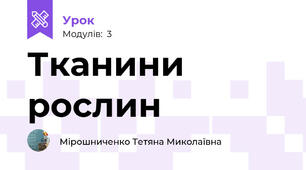 Тканини рослин