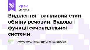 Виділення - важливий етап обміну речовин. Будова і функції сечовидільної системи.