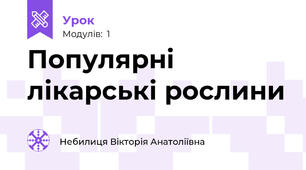 Популярні лікарські рослини