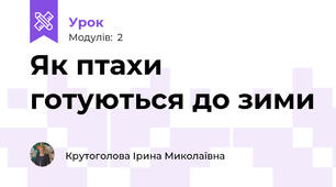 Як птахи готуються до зими