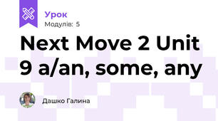 Next Move 2 Unit 9 a/an, some, any