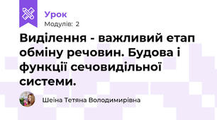 Виділення - важливий етап обміну речовин. Будова і функції сечовидільної системи.