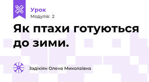 Як птахи готуються до зими.