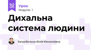 Дихальна система людини