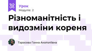 Різноманітність і видозміни кореня