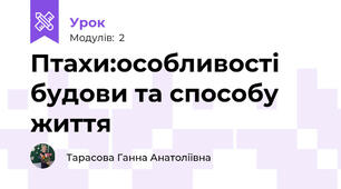 Птахи:особливості будови та способу життя