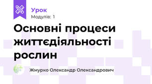 Основні процеси життєдіяльності рослин