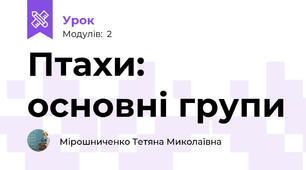 Птахи: основні групи