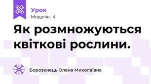 Як розмножуються квіткові рослини.
