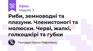 Риби, земноводні та плазуни. Членистоногі та молюски. Черві, жалкі, голкошкірі та губки
