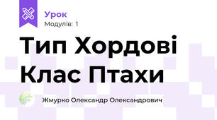 Тип Хордові Клас Птахи