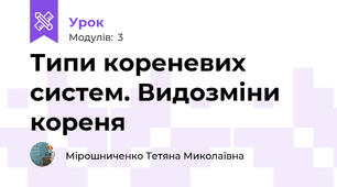 Типи кореневих систем. Видозміни кореня