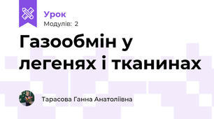 Газообмін у легенях і тканинах