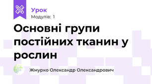 Основні групи постійних тканин у рослин