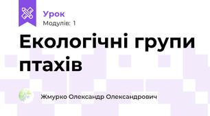Екологічні групи птахів