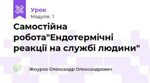 Самостійна робота"Ендотермічні реакції на службі людини"