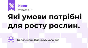 Які умови потрібні для росту рослин.