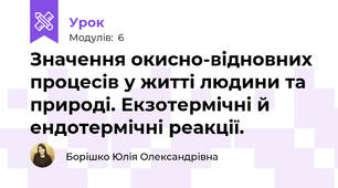 Значення окисно-відновних процесів у житті людини та природі. Екзотермічні й ендотермічні реакції.