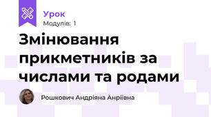 Змінювання прикметників за числами та родами