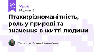 Птахи:різноманітність, роль у природі та значення в житті людини