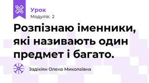 Розпізнаю іменники, які називають один предмет і багато.