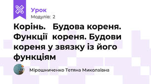 Корінь.   Будова кореня. Функції  кореня. Будови кореня у звязку із його функціям