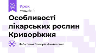 Особливості лікарських рослин Криворіжжя