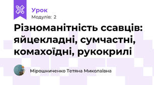 Різноманітність ссавців: яйцекладні, сумчастні,  комахоїдні, рукокрилі