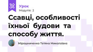 Ссавці, особливості  їхньої  будови  та  способу життя. 
