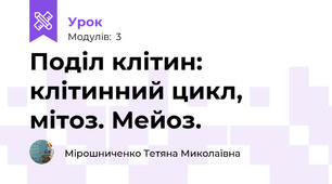 Поділ клітин: клітинний цикл, мітоз. Мейоз.