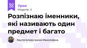 Розпізнаю іменники, які називають один предмет і багато