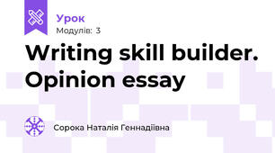 Writing skill builder. Opinion essay