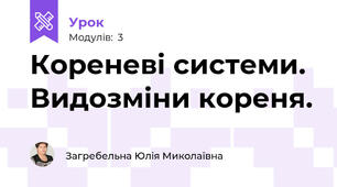 Кореневі системи. Видозміни кореня.