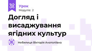 Догляд і висаджування ягідних культур